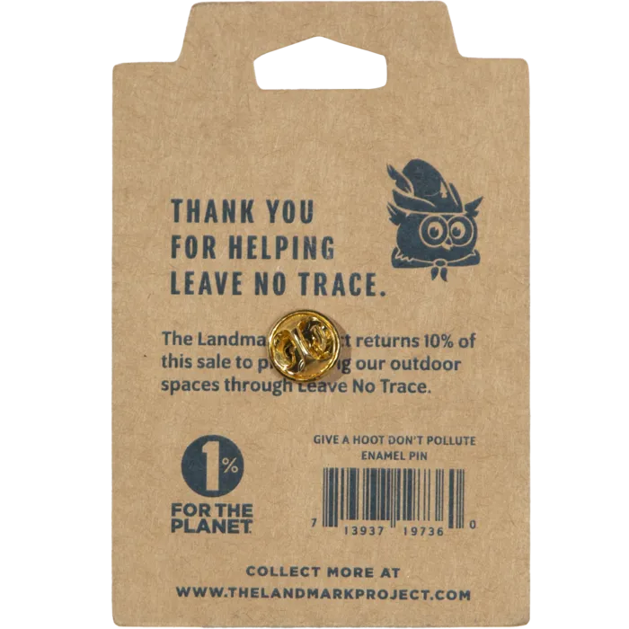 Woodsy Owl Postage Stamp Pin
